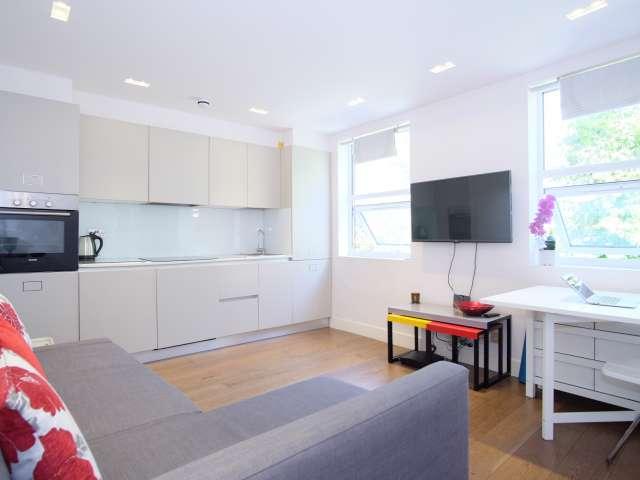 1 bedroom apartment for rent, London