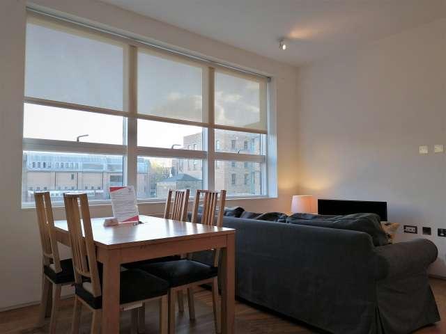 1 bedroom apartment for rent in London