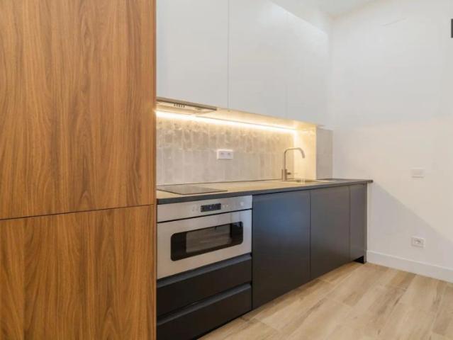 1 bedroom apartment for rent in Puerta del Ángel