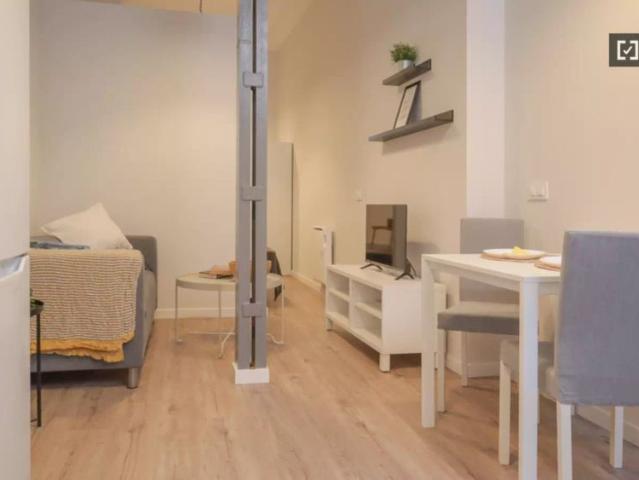1 bedroom apartment for rent in Puerta Del Angel