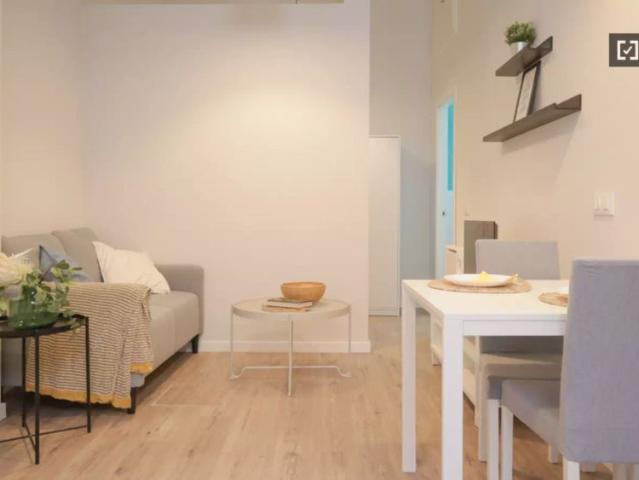1 bedroom apartment for rent in Puerta del Ángel