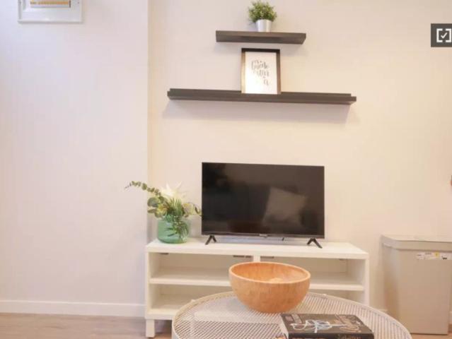 1 bedroom apartment for rent in Puerta Del Angel