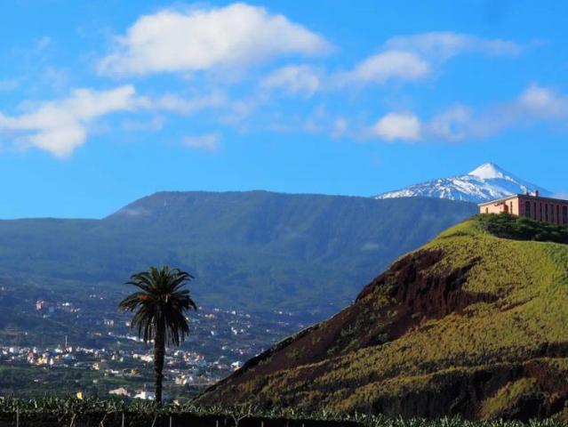 1 bedroom apartment for rent in Puerto de la Cruz, bills included