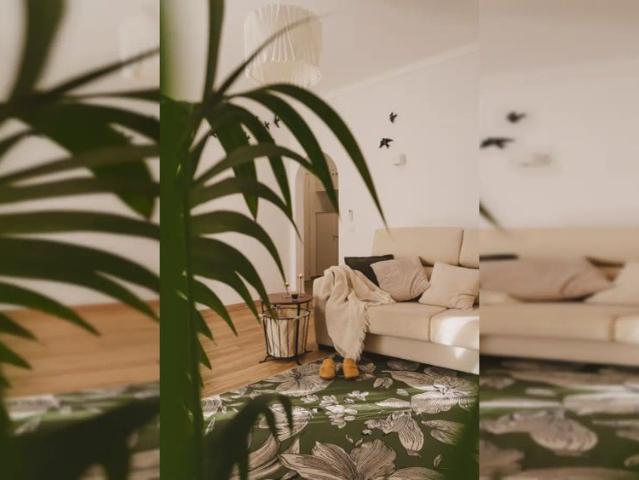1 bedroom apartment for rent in Portimao, bills included