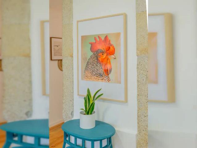 1 bedroom apartment for rent in Porto