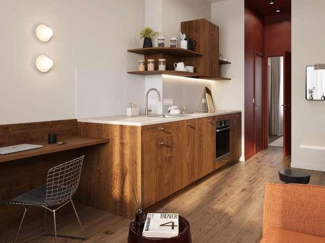 1 bedroom apartment for rent in Saint Josse Centre