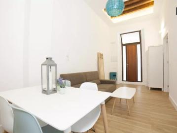 1 bedroom apartment for rent in San Vicente, suitable for professionals and couples