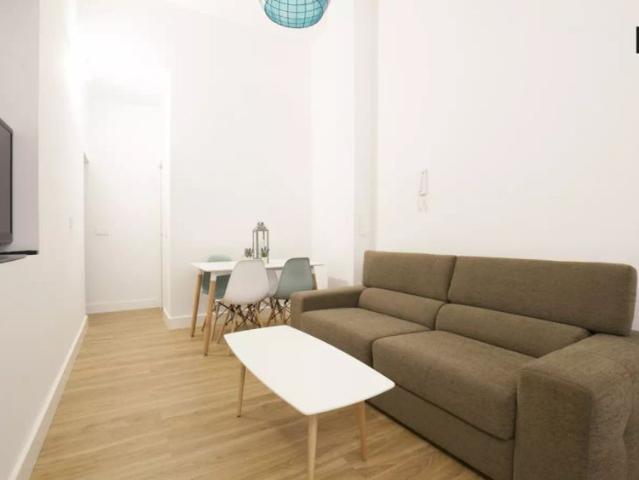 1 bedroom apartment for rent in San Vicente, suitable for professionals and couples