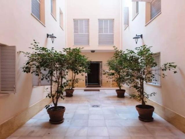 1 bedroom apartment for rent in Santa Catalina, bills included