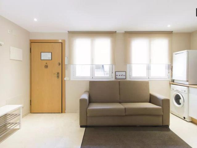 1 bedroom apartment for rent in Sol