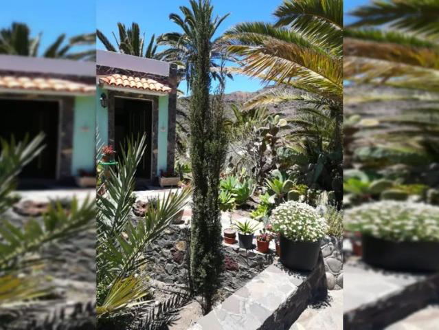 1 bedroom apartment for rent in Vallehermoso, all bills included