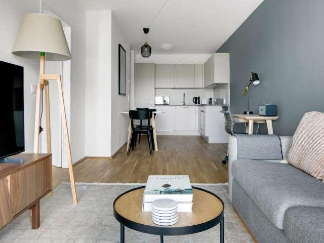 1 bedroom apartment for rent in Vienna