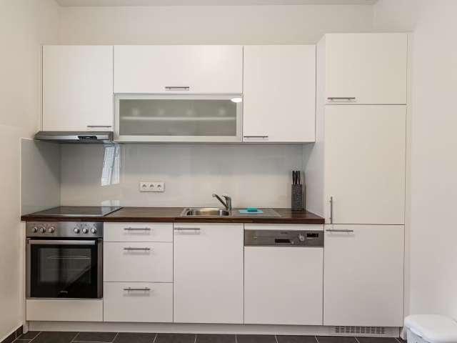 1 bedroom apartment for rent, Vienna