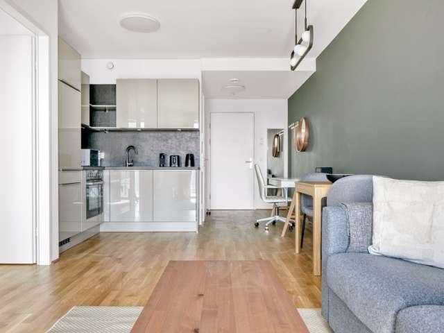 1 bedroom apartment for rent in Vienna