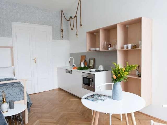 1 bedroom apartment for rent in Vienna