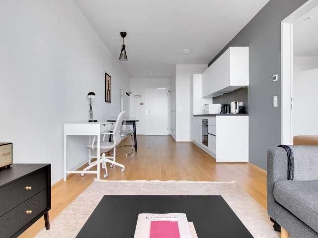 1 bedroom apartment for rent in Vienna
