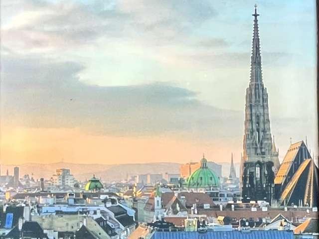 1 bedroom apartment for rent in Vienna