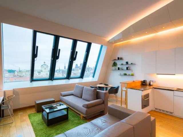 1 bedroom apartment for rent in Vienna