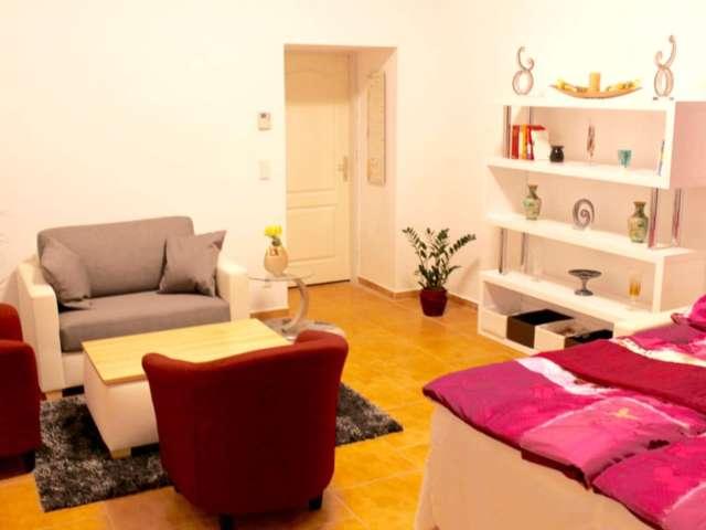 1 bedroom apartment for rent in Vienna