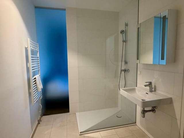 1 bedroom apartment for rent in Vienna