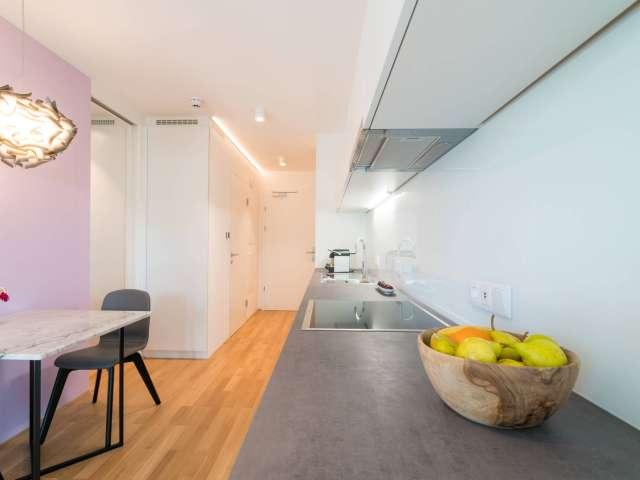 1 bedroom apartment for rent in Vienna