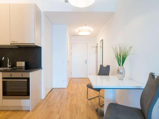 1 bedroom apartment for rent in Vienna