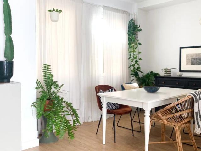 1 bedroom apartment for rent in Zona Centro, couples allowed, bills included