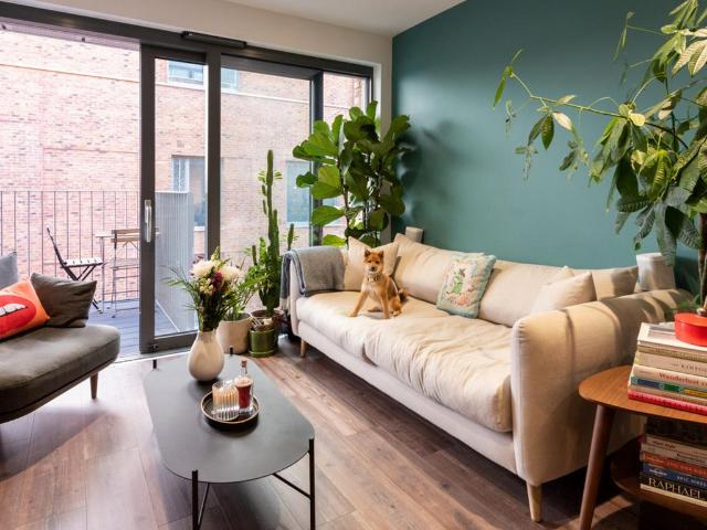1 bedroom apartment for sale