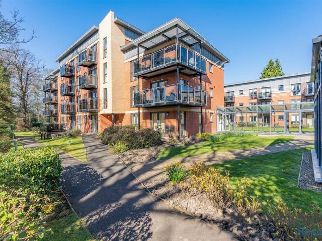 1 bedroom apartment for sale