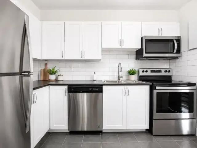 1 Bedroom Apartment Guelph ON 104841407