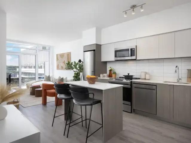 1 Bedroom Apartment Hamilton ON LS105715533
