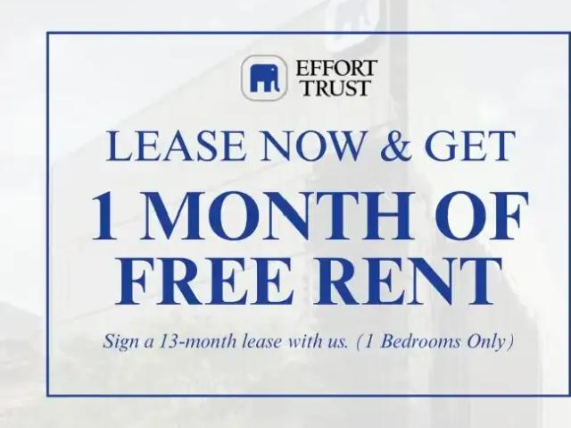 1 Bedroom Apartment Hamilton ON LS103569008