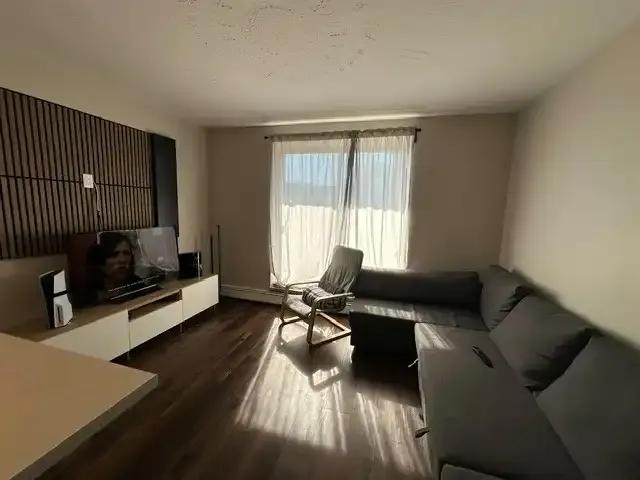 1 Bedroom Apartment Hamilton ON 103424627