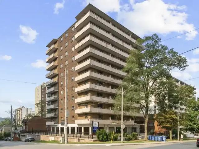 1 Bedroom Apartment Hamilton ON 105554413