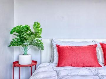 Apartment to rent in Braamfontein