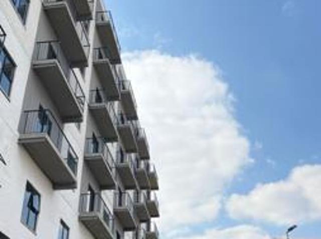 1 Bedroom Apartment in Ferndale