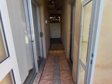 1 Bedroom Apartment in Kensington