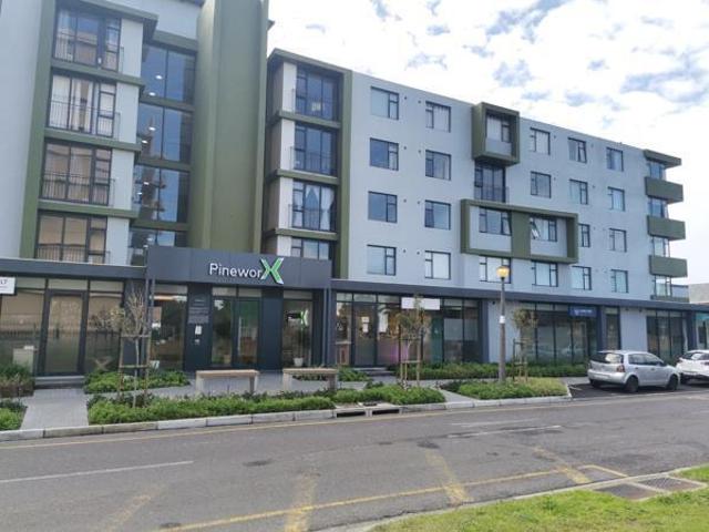 1 Bedroom Apartment in Pinelands