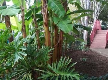 1 Bedroom Apartment in Rietfontein