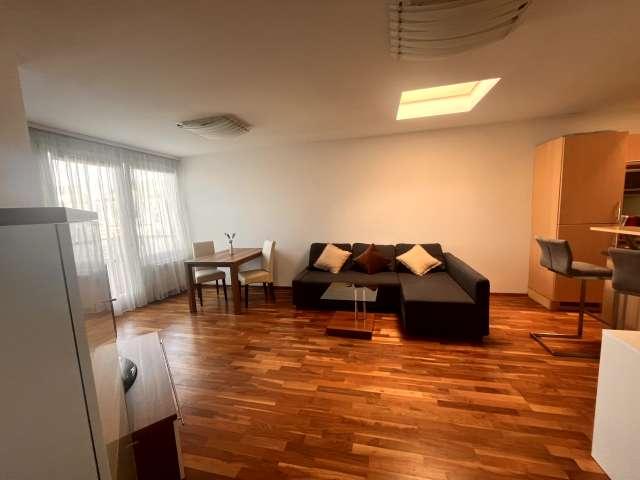 1 bedroom apartment in Vienna