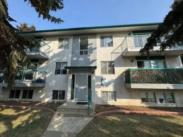 1 Bedroom Apartment Innisfail AB 104681452