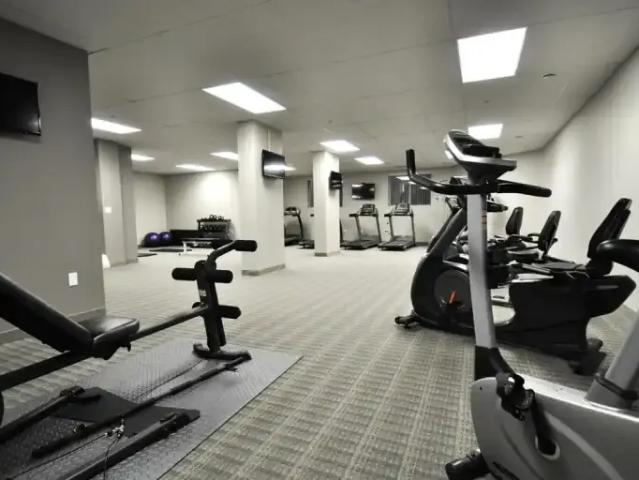 1 Bedroom Apartment Kitchener ON 105333951