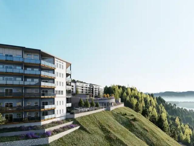 1 Bedroom Apartment Langford BC 93486646