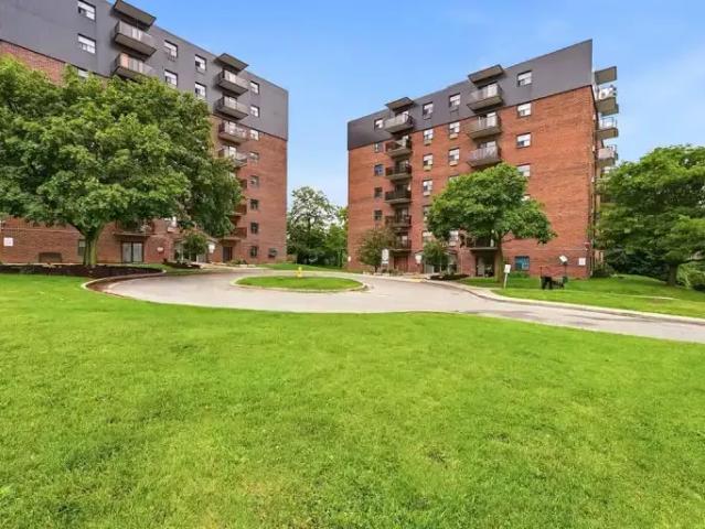 1 Bedroom Apartment London ON 105022333