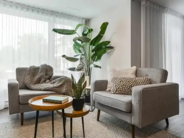 1 Bedroom Apartment Longueuil QC 101015624
