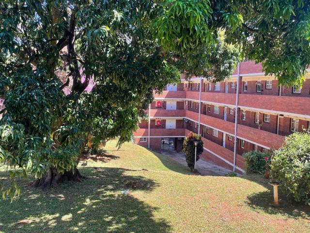1 Bedroom Apartment Rented in Bluff
