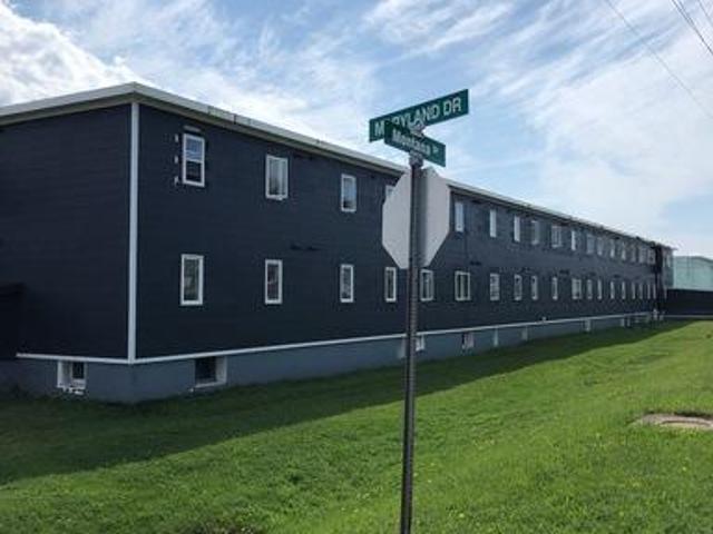 1 Bedroom Apartment Stephenville NL 104956665