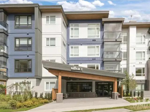 1 Bedroom Apartment Surrey BC 105467379