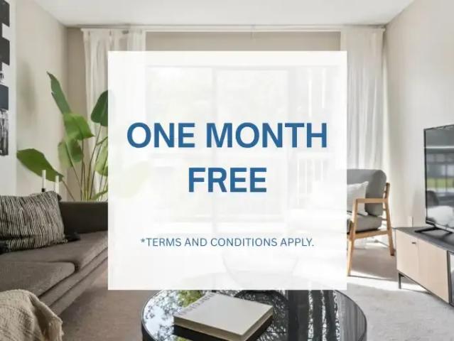1 Bedroom Apartment Surrey BC 105504960