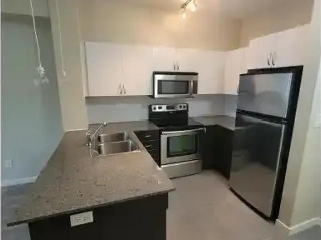 1 Bedroom Apartment Surrey BC 105167509